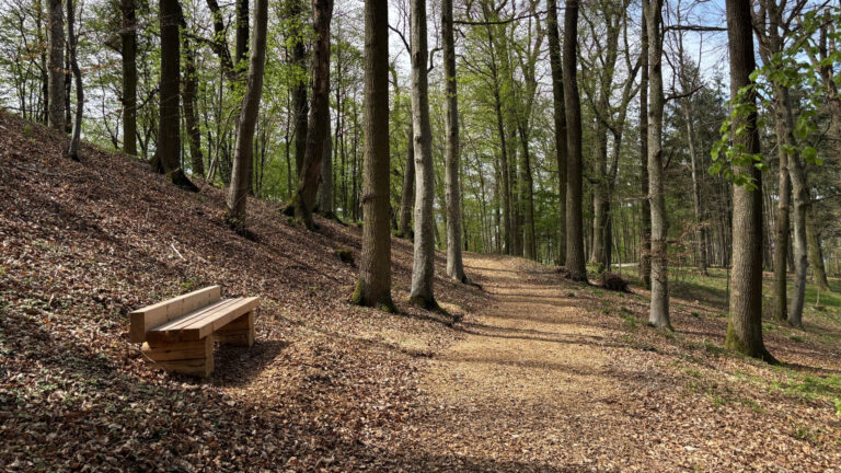 Sitzbank am Wegesrand